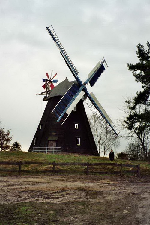 Photo: Paula in Wunstorf