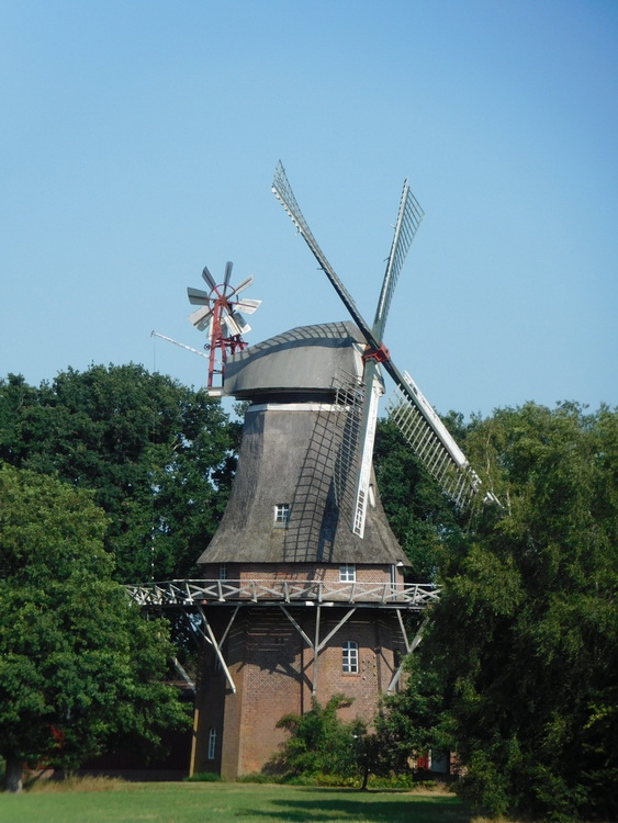 Photo: Windmühle Großoldendorf in Uplengen