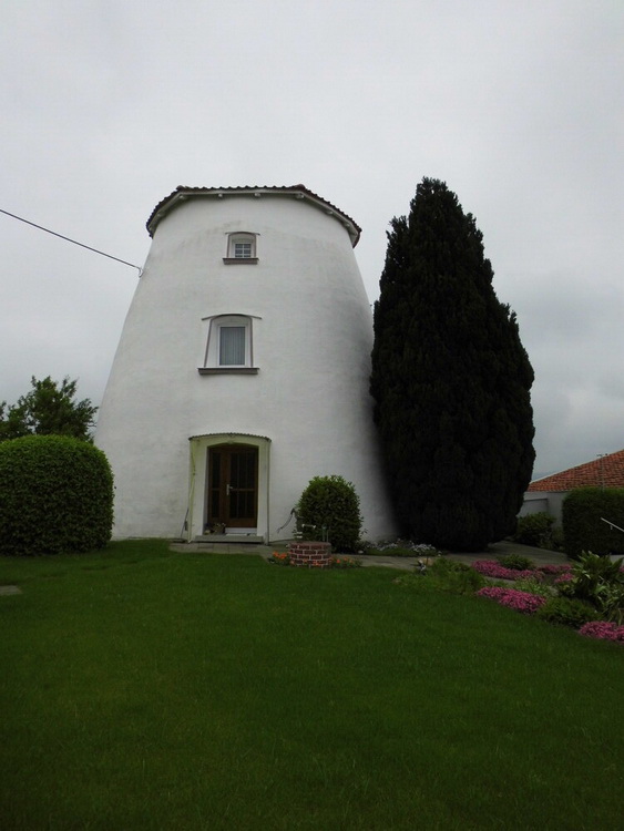 Photo: Mühle Burgdorf in Bad Salzdetfurth