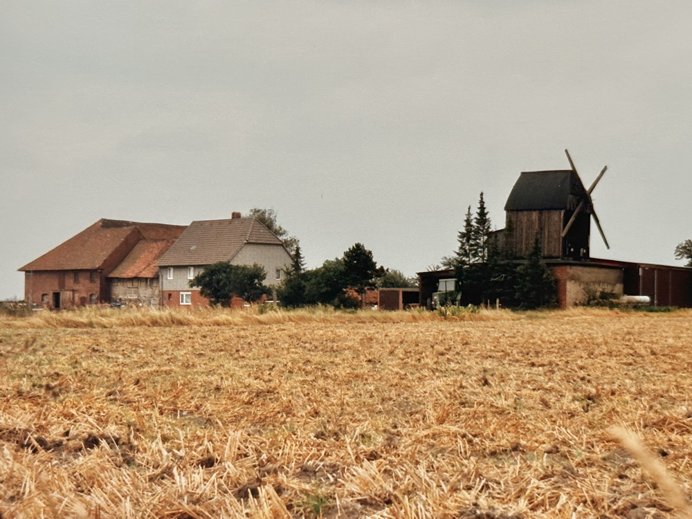 Photo: Bockwindmühle Täger in Groß Twülpstedt
