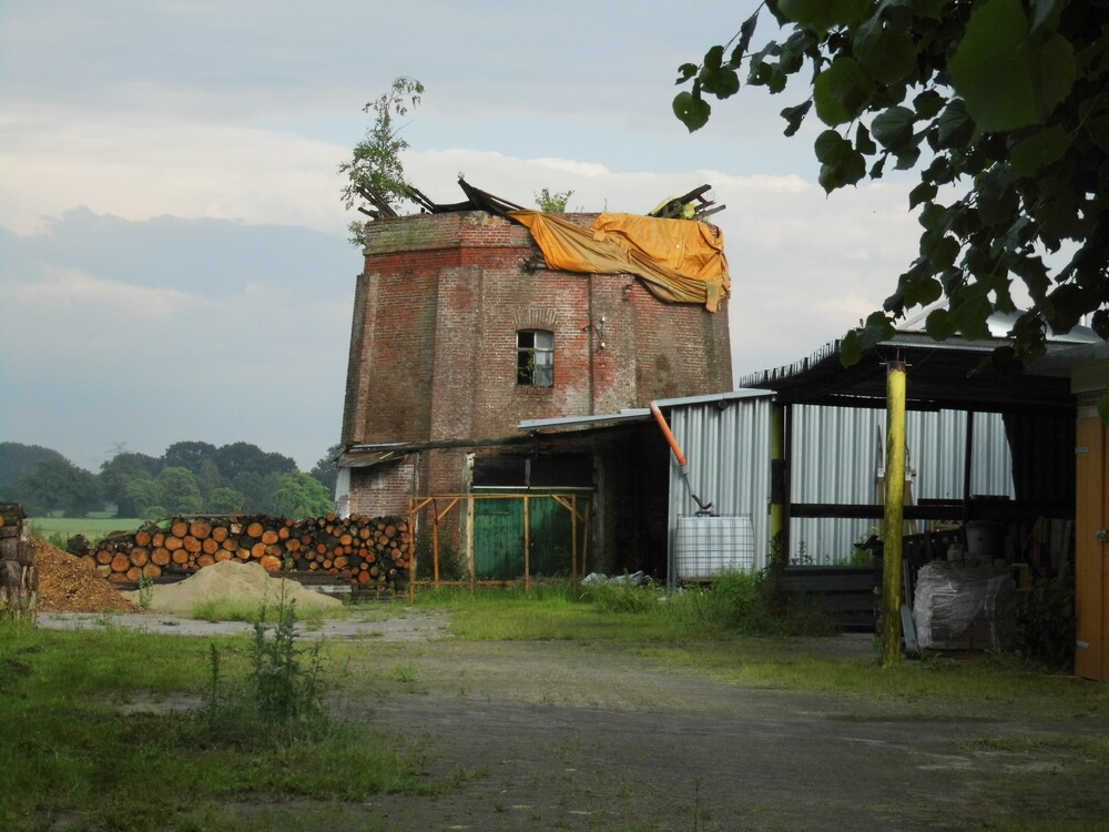 Photo: Mühle Sterrenberg in Weener