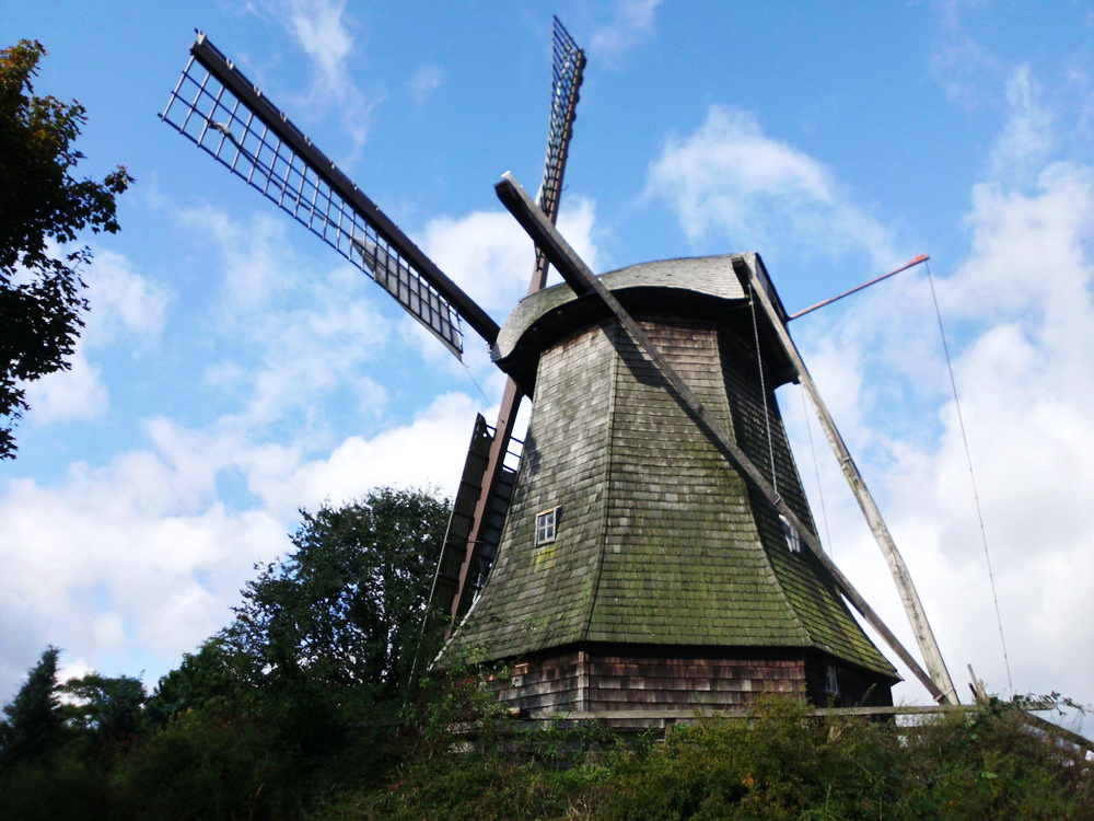 Photo: Windmühle Wippingen in Wippingen