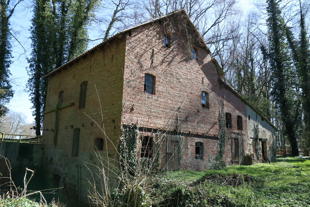 Photo: Bojemühle in Fürstenau