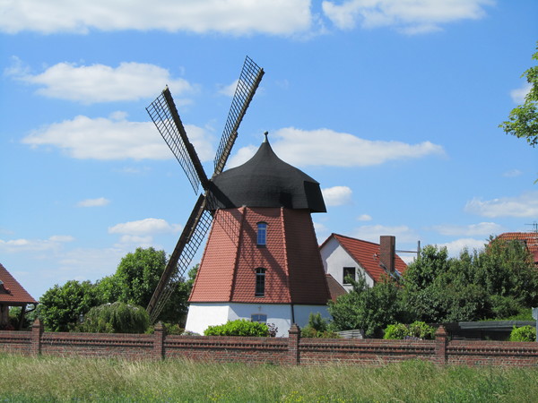 Photo: Windmühle Meine in Meine