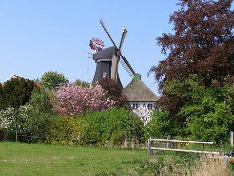 Photo: Windmühle Moorsee in Nordenham