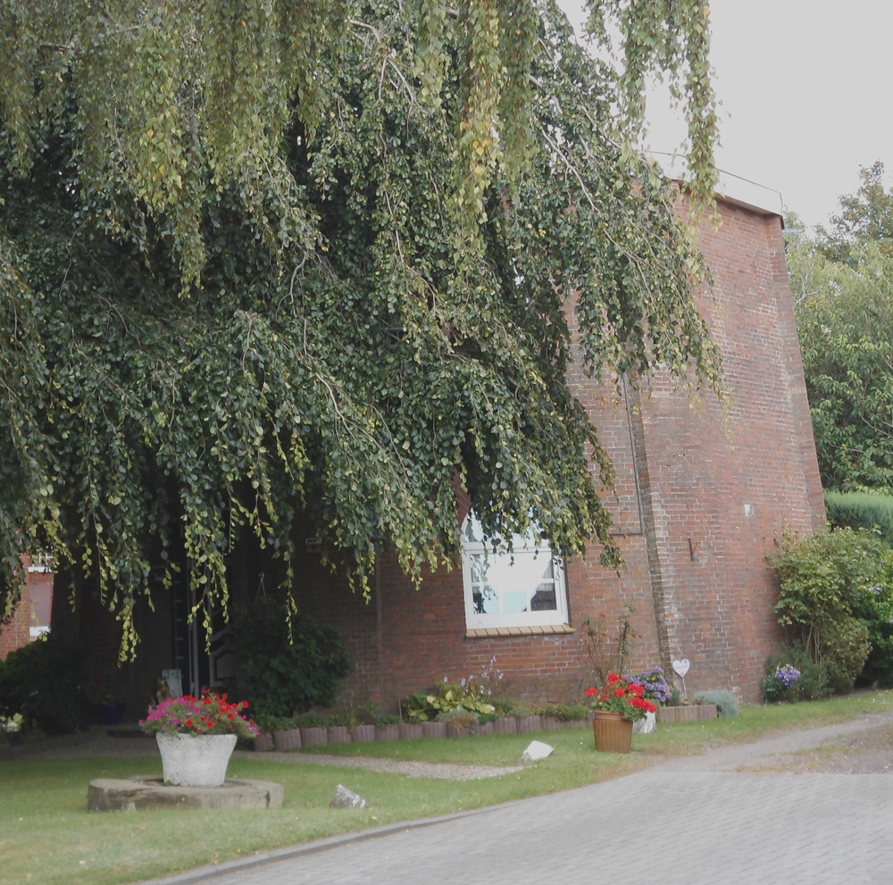 Photo: Mühle Diersmann in Moormerland