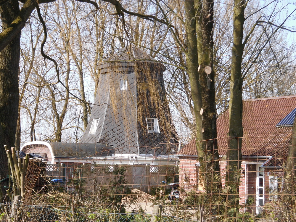Photo: Erdholländer Ülkegatt in Wittmund