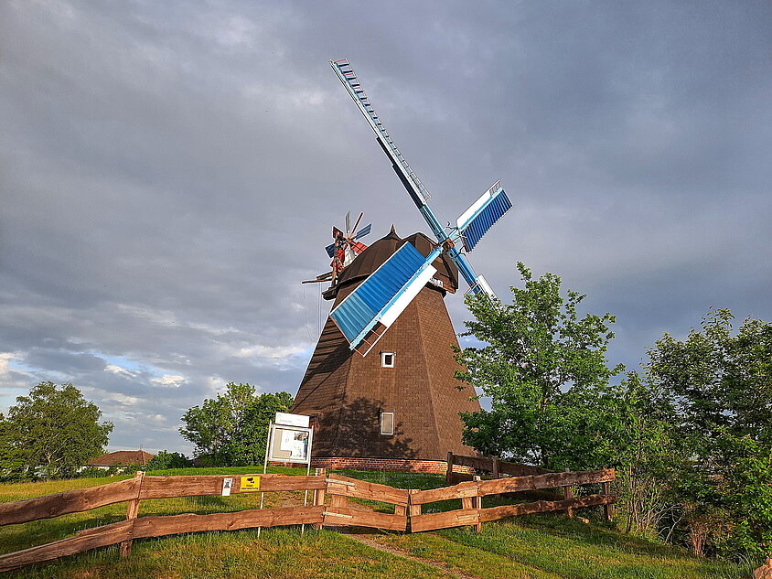 Windmühle Steinhude 2022 by Dieter Goldmann