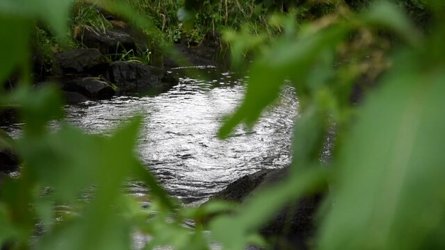 Historie und Natur treffen bei der Wassermühle Deelbrügge aufeinander – Entspannung pur!