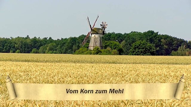 04_Vom_Korn_zum_Mehl