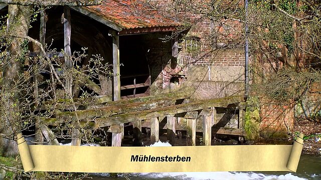 09_Muehlensterben