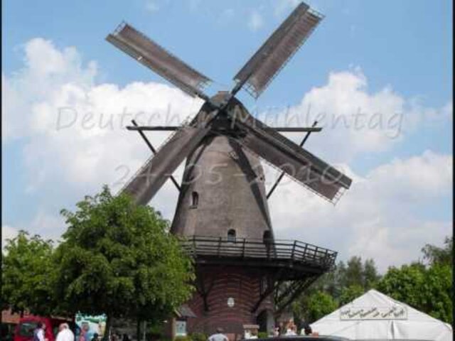 Windmühle Georgsdorf / Molen Georgsdorf (Duitsland)